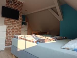 Apartament Jaskółeczka