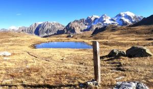 B&B / Chambres d'hotes Les Hauts du Paquier : photos des chambres