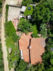 Villa Olivastro img59