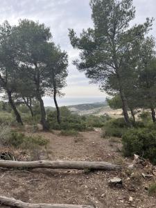 Maisons d'hotes Studio calme entre Aix et Marseille : photos des chambres