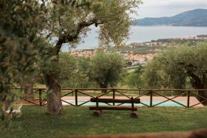 Villa con piscina nel Cilento Casolare Cento Ulivi Luxury & Charme img78