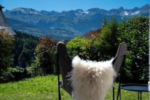 Appartements 3 bed apt,central location, parking, garden, 6 pax : photos des chambres