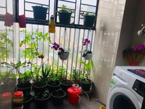 Sheraton 5 stars hotel nearby apartment