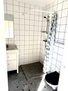 Svencele mini cottage apartment
