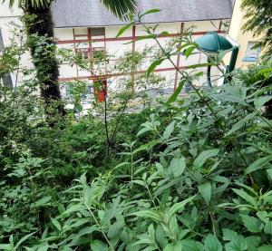 la Résidence Berceau de Bernadette - Bernadettes cradle - Near BernadetteHouse