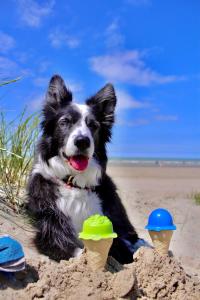 Vakantieverblijf Les Graminées