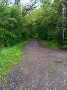 Gîte au coeur de la forêt