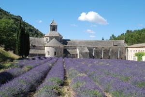 Appartements Le Clos Martin : photos des chambres