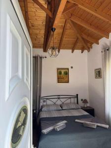 Christina Traditional House