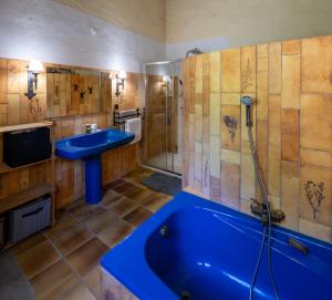 Maisons de vacances Grand mas catalan en pleine nature avec piscine : photos des chambres