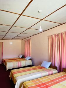 Bloom house homestay