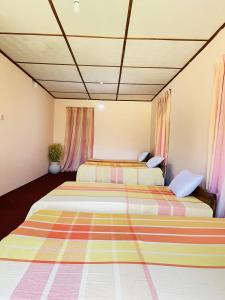 Bloom house homestay