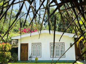 Bloom house homestay