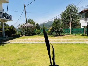 Bloom house homestay
