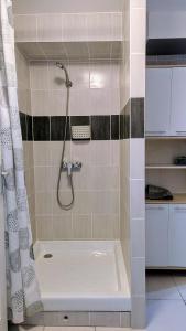 Appartements Studio Viarhona : photos des chambres