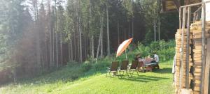 Chalet Mas dele Strie
