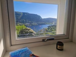 Cozy flat with lake view and 15 min from Bergen