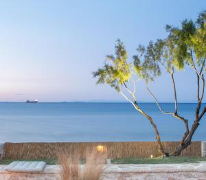 Seafront Wooden House