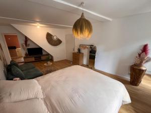 Appartements Cocon Jungle Hyper Centre : photos des chambres
