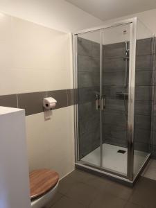 Appartements Appartement T2 45m2 Residence Le 29 1 chambre parking terrasse, Centre-ville : photos des chambres
