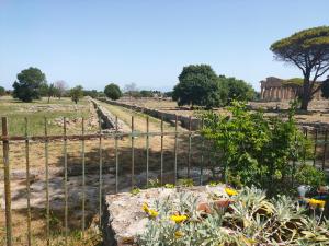 Il Giardino di Athena 1