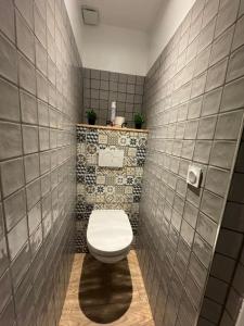 Appartements Gite dans un moulin avec terrasse : photos des chambres