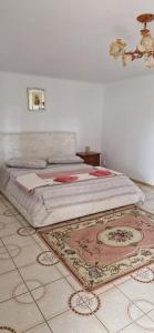 Casa de vacanta Musatesti