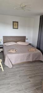 Casa de vacanta Musatesti