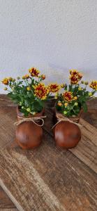 Casa de vacanta Musatesti