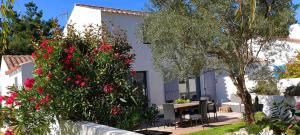 Villas Les pieds dans l'eau: KER LILI (chez Liza) : photos des chambres