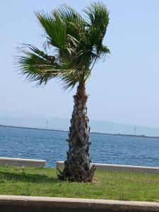 Casa Cristoforo Colombo