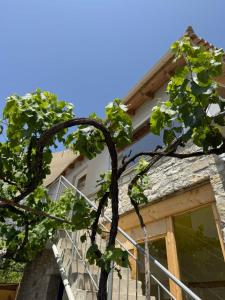 Single Bed in 10-Bed Dormitory Room room in Himara Hostel