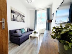 Apartament 19