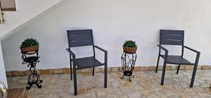 Casa de vacanta Musatesti