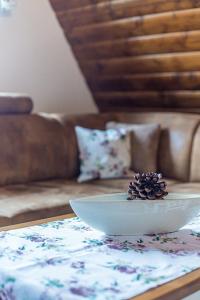 Apartament Murzasichle Gościna na Wierchu