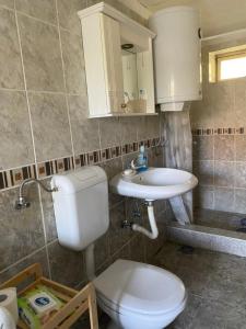 Kućerak kraj Dunava