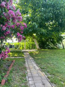 Kućerak kraj Dunava