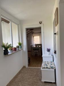 Kućerak kraj Dunava