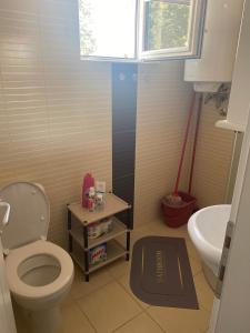 Apartment Seven Banja Vrujci