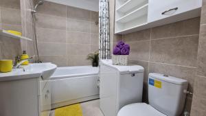 Velvet Mornings near Palas Mall Iasi