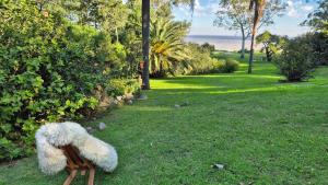 Casa Paraíso, Britopolis, Beachfront