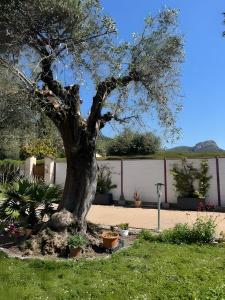 B&B / Chambres d'hotes Villa Bibaou : photos des chambres