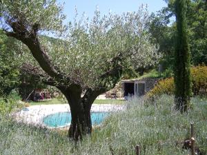 Sejours a la campagne Lovely stay in provence : photos des chambres