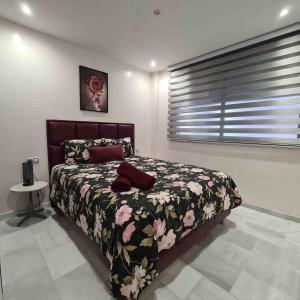 Bel appartement sur la corniche