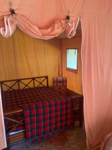 Tentes de luxe Tente Lodge en pleine nature : photos des chambres