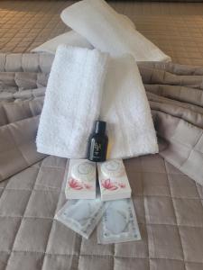 Fly to Venice Airport View