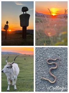 Living Past Vendégház
