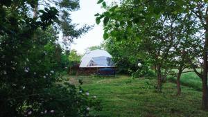 Stargazer Dome at Lake Balaton