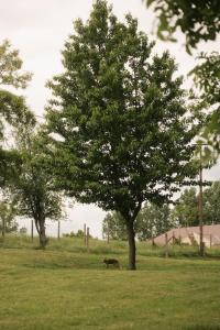 Wild&Free Private Lake