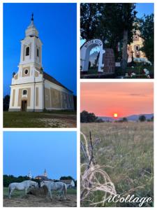 Living Past Vendégház